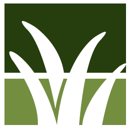 San Rafael Lawn Clean Up
