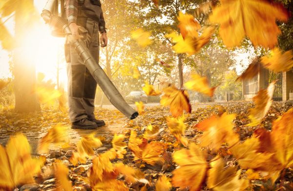 Cost of Leaf Blowing Service in San Rafael