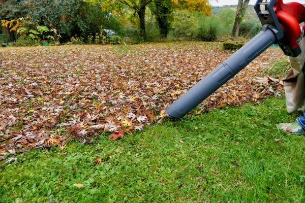 Cost of Leaf Vacuuming Service in San Rafael