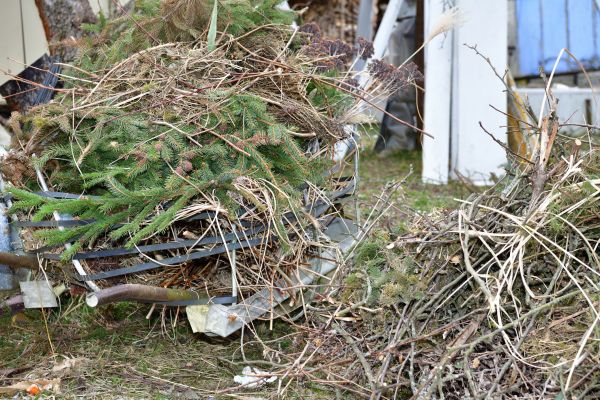 Cost of Yard Debris Removal in San Rafael