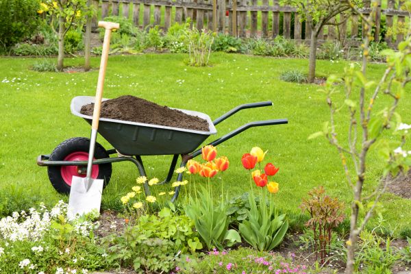 Cost of Spring Yard Cleanup in San Rafael