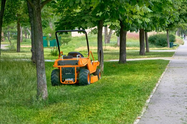 Cost of Landscaping Cleanup Service in San Rafael