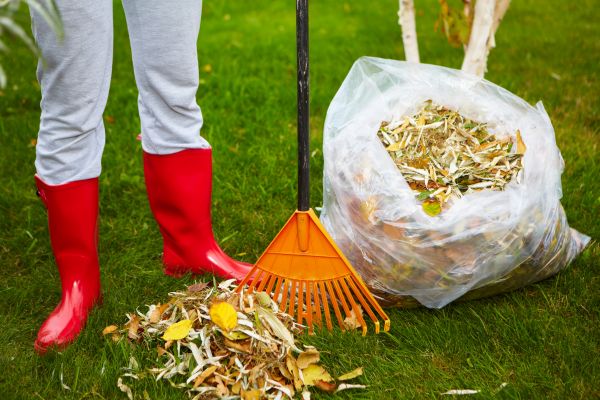 Cost of Leaf Disposal Service in San Rafael