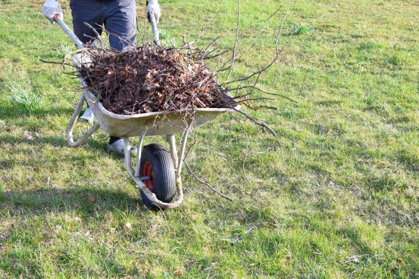 Cost of Yard Brush Removal in San Rafael