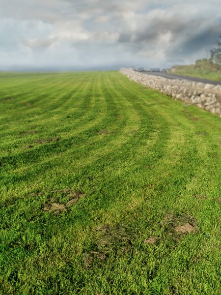 Field Maintenance Service