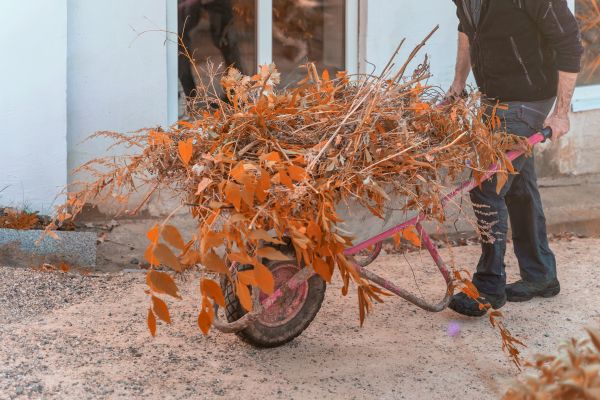Cost of Lawn Debris Cleanup in San Rafael