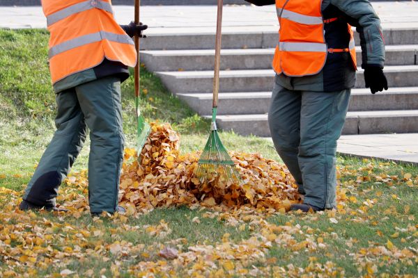 Cost of Leaf Hauling Service in San Rafael