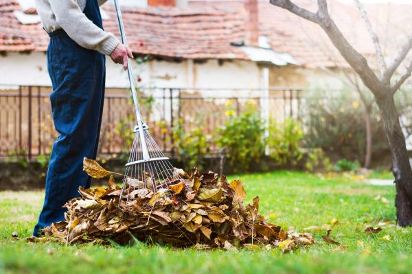 Cost of Spring Lawn Cleanup in San Rafael
