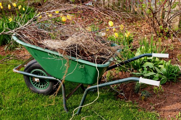 Cost of Lawn Waste Removal in San Rafael