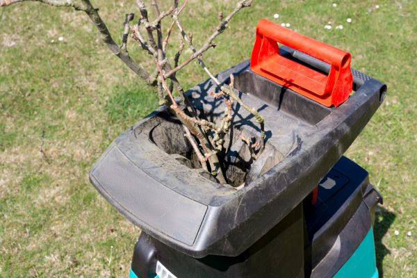 Cost of Brush Cleanup Service in San Rafael