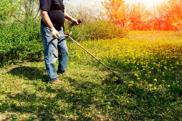 Cost of Yard Clearing Service in San Rafael