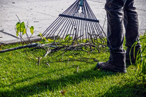 Cost of Yard Debris Cleanup in San Rafael