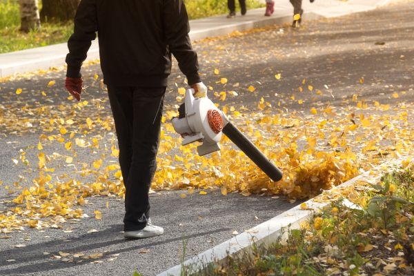 Cost of Commercial Leaf Removal in San Rafael