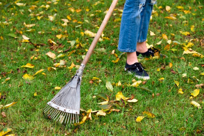 Lawn Raking and Bagging