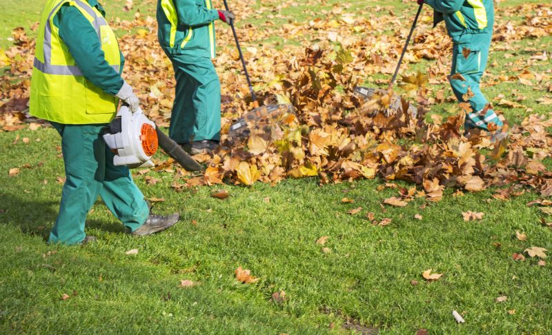 Leaf Clearing Service