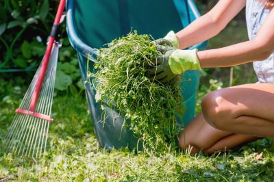 Scheduling Your Lawn Clean Up