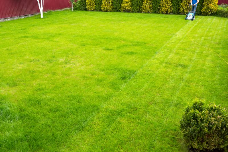 Benefits of Timely Lawn Clean Up